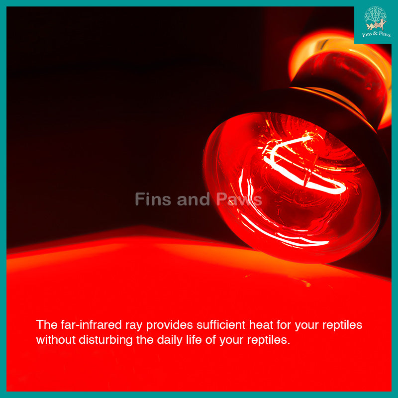 Can Infrared Heat Lamps Be Used Daily: Safe and Effective Tips