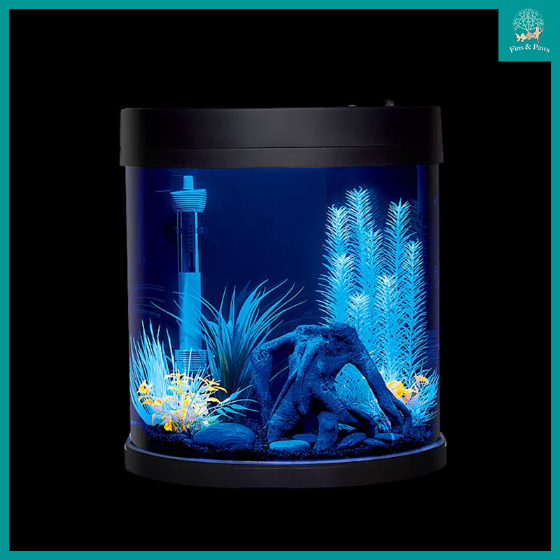 Resun] HALFMOON Curved-Front 37.8L Glass Fish Tank Set (with White/Bl –  Fins and Paws