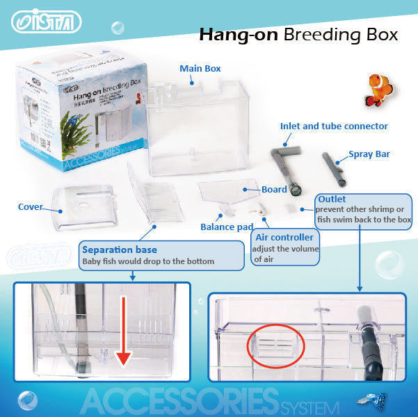 external hang on plastic aquarium fish breeding box satellite l ISTA] Hang-On Aquarium Breeding Box for Breeding, Baby Fishes, Separa –  Fins and Paws