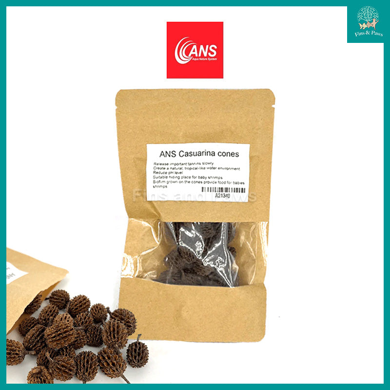 [ANS] Casuarina Cones - Natural Aquarium Botanicals suitable for Biotope, Betta and Low pH Shrimps