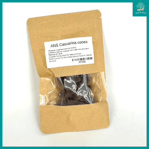 [ANS] Casuarina Cones - Natural Aquarium Botanicals suitable for Biotope, Betta and Low pH Shrimps