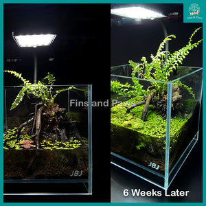 [VG] Mini Plant Growth LED 10W for Aquarium, Terrarium and Paludarium