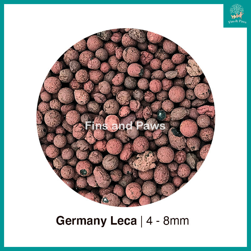 Germany Leca (Clay Balls) 4-8mm 1L, Drainage Substrate suitable for Terrariums and Paludariums