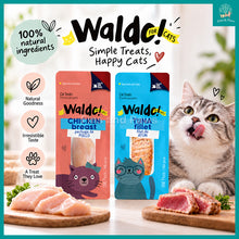 Load image into Gallery viewer, [Waldo] Single Ingredients Deboned Cat Treats 20g
