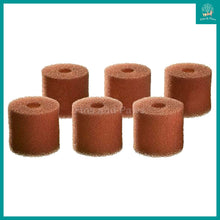 Load image into Gallery viewer, [Oase] BioMaster V1 / V2 PreFilter Foam Set (30/45/60ppi)