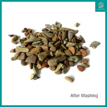 Load image into Gallery viewer, [Bioscape] River Stone Pebble Detailing Aquascape Gravel for Aquarium - 3KG / 10KG