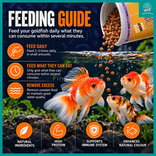 Load image into Gallery viewer, [Bioscape] Insectivore Goldfish Sinking Pellets Fish Food 150g (Made in Europe) – Ideal for Goldfish, Fancy Goldfish, including Oranda, Ranchu and Ryukin