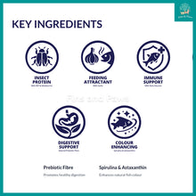 Load image into Gallery viewer, [Bioscape] Insectivore Tropical Granules Fish Food (Made in Europe) – Ideal for small to medium tropical aquarium fish
