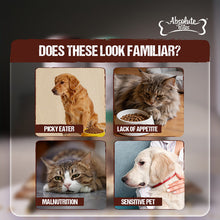 Load image into Gallery viewer, [Absolute Bites] Freeze Dried Wild Flakes Meat Flakes Toppers for Cats &amp; Dogs 100g