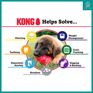 [KONG] Classic Dog Chew Toy (4 Sizes)
