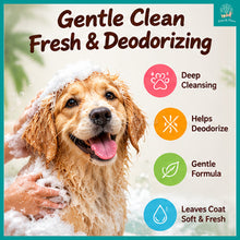 Load image into Gallery viewer, [Vegebrand] Fruit Bath Deodorizing Deep Cleaning Shampoo for Dogs 500ml