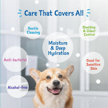 Load image into Gallery viewer, [Loveabowl] Clean-A-Dog Stress-free Pet Glove 2pcs | Original Cica | Cherry Blossom | Healthcare | Antibacterial