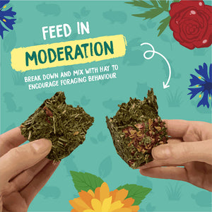 [Burgess] Excel Nature Snacks Forage & Feast Bar 60g for Rabbit Treats, Guinea Pig Treats and Chinchilla Treats