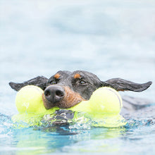 Load image into Gallery viewer, [KONG] AirDog® Squeaker Bone Dog Toy (3 Sizes)