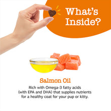 Load image into Gallery viewer, [Zesty Paws] Pure Wild Alaskan Salmon Oil for Cats and Dogs | Skin &amp; Coat Supplement Shiny Coat Food Topper