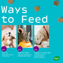 Load image into Gallery viewer, [Happi Skippi] Just Freeze-dried Treat for Cats and Dogs 10g (Crunchy Chicken Salmon Duck Functional Raw Treat Topper Mixer)