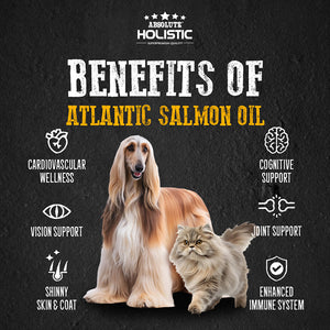 [Absolute Holistic] Wild Salmon Fish Oil Natural Pet Supplement for Cats & Dogs 250ml