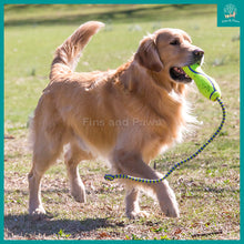 Load image into Gallery viewer, [KONG] AirDog® Fetch Stick with Rope Dog Toy