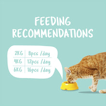Load image into Gallery viewer, [Kit Cat] Purrfect Pockets Cat Treats 60g