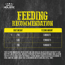 Load image into Gallery viewer, [Absolute Holistic] Freeze Dried Raw Nuggets Food For Dogs 14oz (397g)