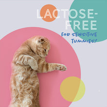 Load image into Gallery viewer, [Daily Delight] (Carton) Moo Milk for Cat &amp; Dog (1 Litre x 12 Bottle) | Australia Grass Fed Milk | Lactose Free | All Life Stages