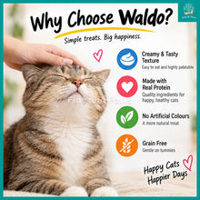 Load image into Gallery viewer, [Waldo] Creamy Puree Cat Treats 60g (4 x 15g Sachets)