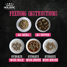 Load image into Gallery viewer, [Absolute Holistic] Raw in the Bag Complete Freeze Dried Dog Food 14oz (397g)