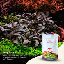 Load image into Gallery viewer, [The 2hr Aquarist] APT Balance 25g - Aquarium Beneficial Bacteria