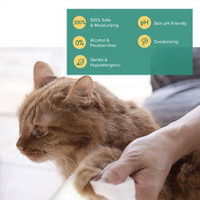 Load image into Gallery viewer, [Nurture Pro] AG Silver Pet Wipes 100pcs | Thick, Soft, Alcohol-Free Antibacterial Wet Wipes for Dogs, Cats &amp; Small Pets