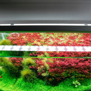 [Chihiros] B Series LED Light for Planted Aquarium