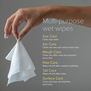 [Nurture Pro] AG Silver Pet Wipes 100pcs | Thick, Soft, Alcohol-Free Antibacterial Wet Wipes for Dogs, Cats & Small Pets