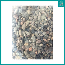 Load image into Gallery viewer, [PF Profeed] River Stone Pebble Detailing Gravel for Aquarium - 2KG