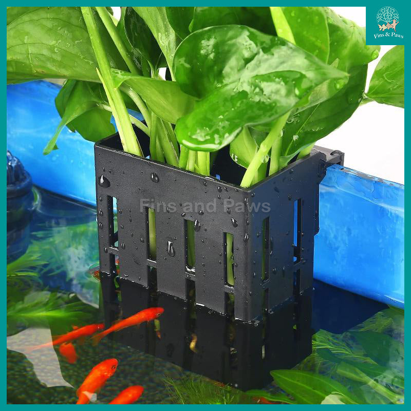 hydroponic plants aquarium Aquarium Hydroponic Hang-on Planting Box suitable for Terrestrial and/ – Fins and Paws