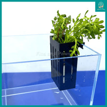 Load image into Gallery viewer, Aquarium Hydroponic Hang-on Planting Box suitable for Terrestrial and/or Aquatic Plants