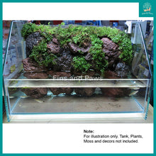 Load image into Gallery viewer, [JUN] Modeling Soil 1L suitable for Moss Wall, Terrarium, Paludarium, Wabi-Kusa and Kokedama