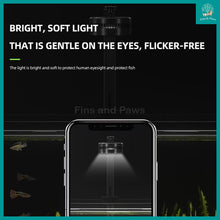 Load image into Gallery viewer, [KAO KUI] Professional 50W KK07 Aquarium Downlight suitable for Planted, Monster Fish, Goldfish, Paludarium and Terrestrial Plants.