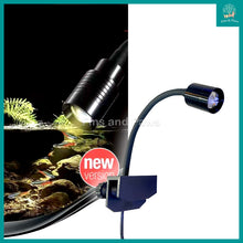 Load image into Gallery viewer, [KAO KUI] 3W LED Aquarium Spotlight with Adjustable Lens and 3 Color Modes (Suitable for Biotope, Low Tech Aqua, Freshwater Aquarium)