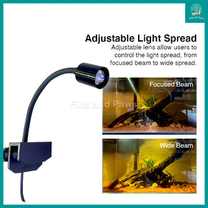 [KAO KUI] 3W LED Aquarium Spotlight with Adjustable Lens and 3 Color Modes (Suitable for Biotope, Low Tech Aqua, Freshwater Aquarium)