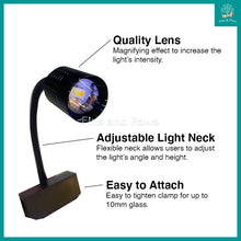 Load image into Gallery viewer, [KAO KUI] 3W LED Aquarium Spotlight with Adjustable Lens and 3 Color Modes (Suitable for Biotope, Low Tech Aqua, Freshwater Aquarium)