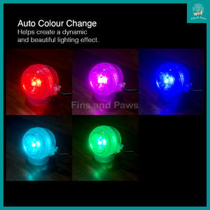 [KAO KUI] USB 1W LED Submersible Mini Spotlight Auto-Colour-Change (Suitable for small Pond or Aquarium)