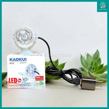 Load image into Gallery viewer, [KAO KUI] USB 1W LED Submersible Mini Spotlight Auto-Colour-Change (Suitable for small Pond or Aquarium)