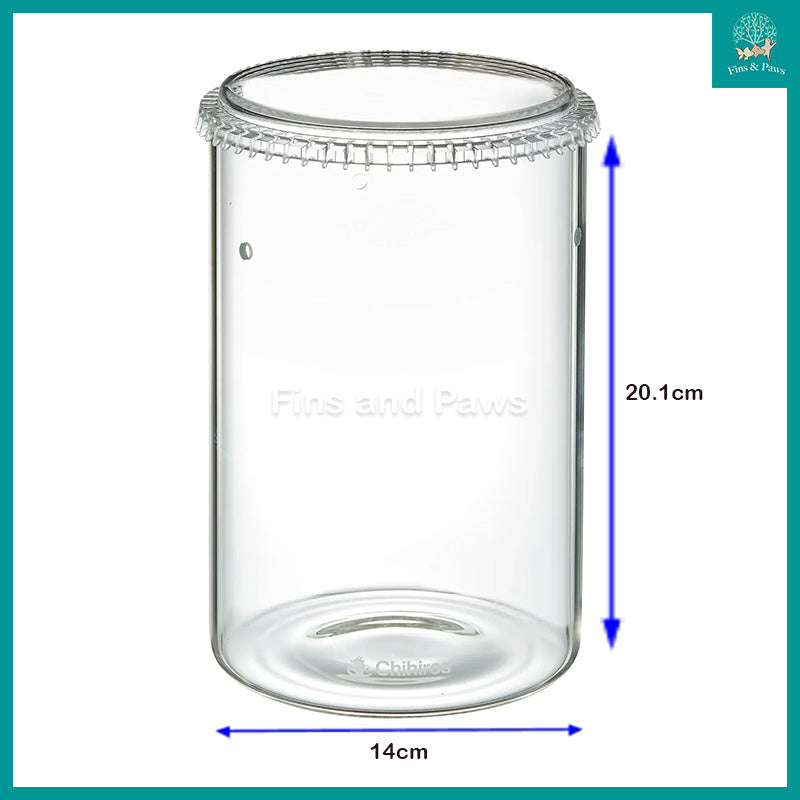 [Chihiros] Glass Pot Dew for Terrarium, Plants and Moss