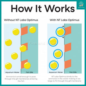 [NT Labs] Optimus Concentrated Tap Water Dechlorinator for Freshwater and Marine Aquarium with Ammonia, Nitrite and Nitrate Detoxifier