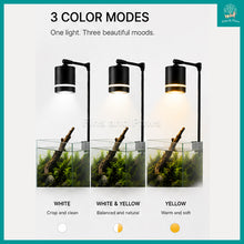 Load image into Gallery viewer, [Raw Elements] Coco Designer Pendent LED with Stand for Small / Nano Aquariums Fish Tanks (from 20cm - 45cm)