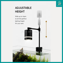 Load image into Gallery viewer, [Raw Elements] Coco Designer Pendent LED with Stand for Small / Nano Aquariums Fish Tanks (from 20cm - 45cm)