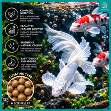 Load image into Gallery viewer, [Relive] Butterfly Carp Floating Pellet M Sized 100g - Koi Fish Feed Enriched with Vitamins
