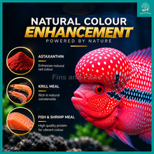 Load image into Gallery viewer, [Relive] Flower Horn Luohan Cichlids Color and Growth Floating Pellet Fish Feed 100g