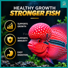 Load image into Gallery viewer, [Relive] Flower Horn Luohan Cichlids Color and Growth Floating Pellet Fish Feed 100g