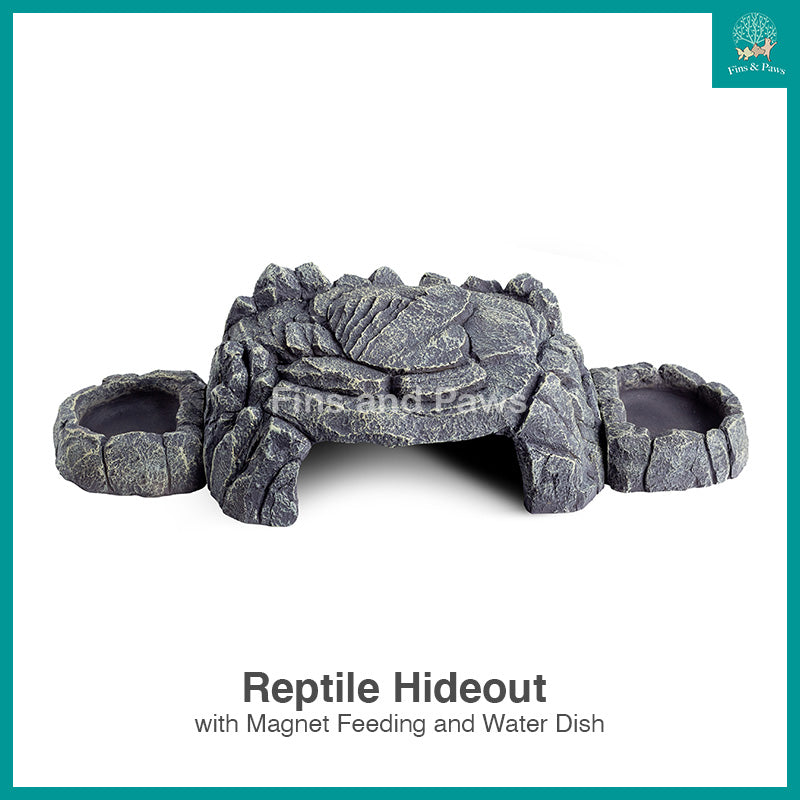 [Reptizoo] Grey Rock Magnetic 3-in-1 Feeding and Water Dishes Hideout Ornament suitable for Reptiles, Small Animals, Crabs, and Insects (EHR34)