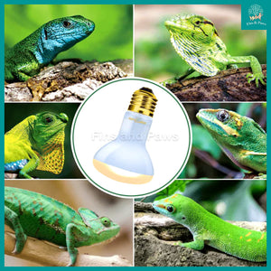 [ReptiZoo] Daylight Basking Spot UVA Bulb 35W / 50W / 75W (Reptiles, Amphibians, and Terrariums)